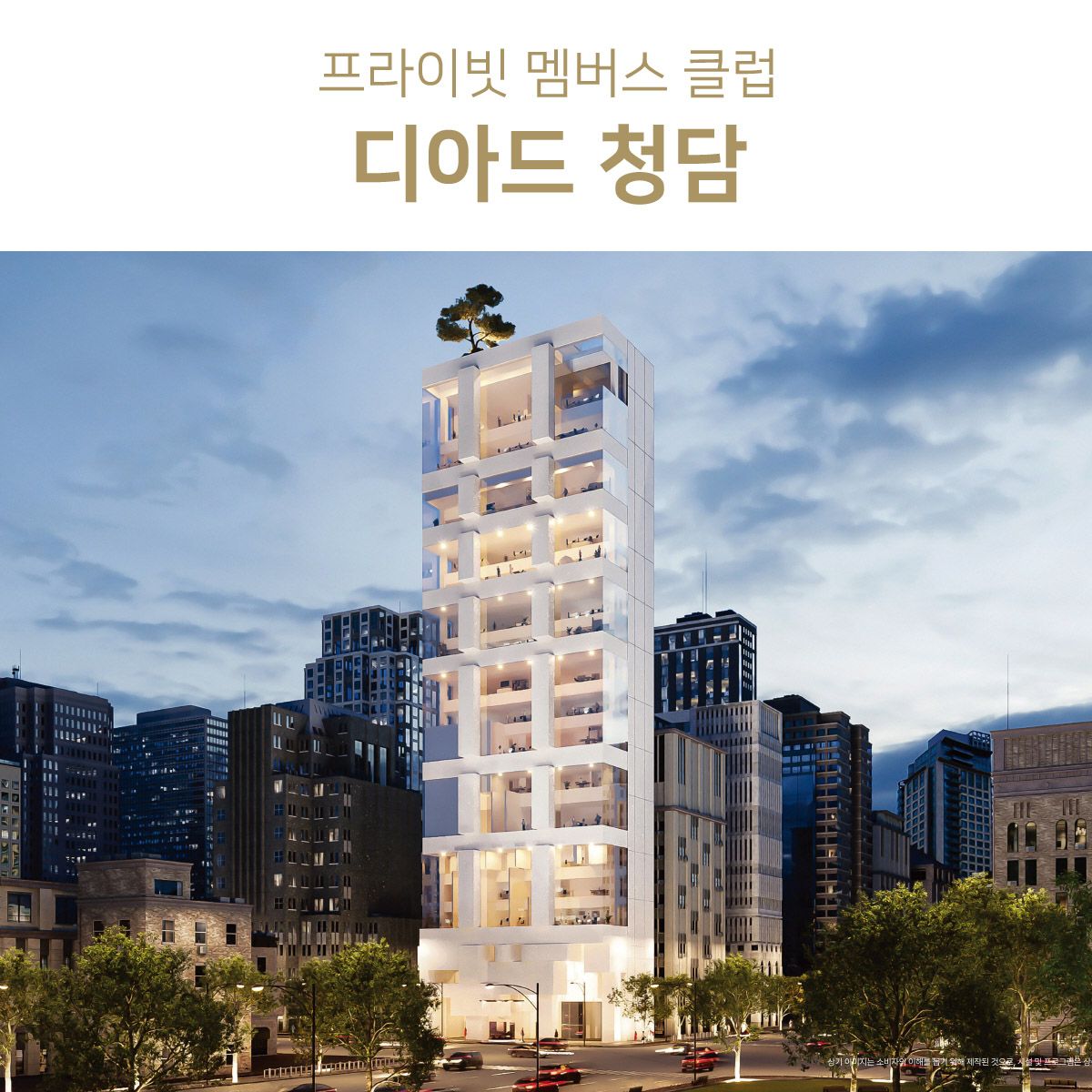 디아드 청담-m